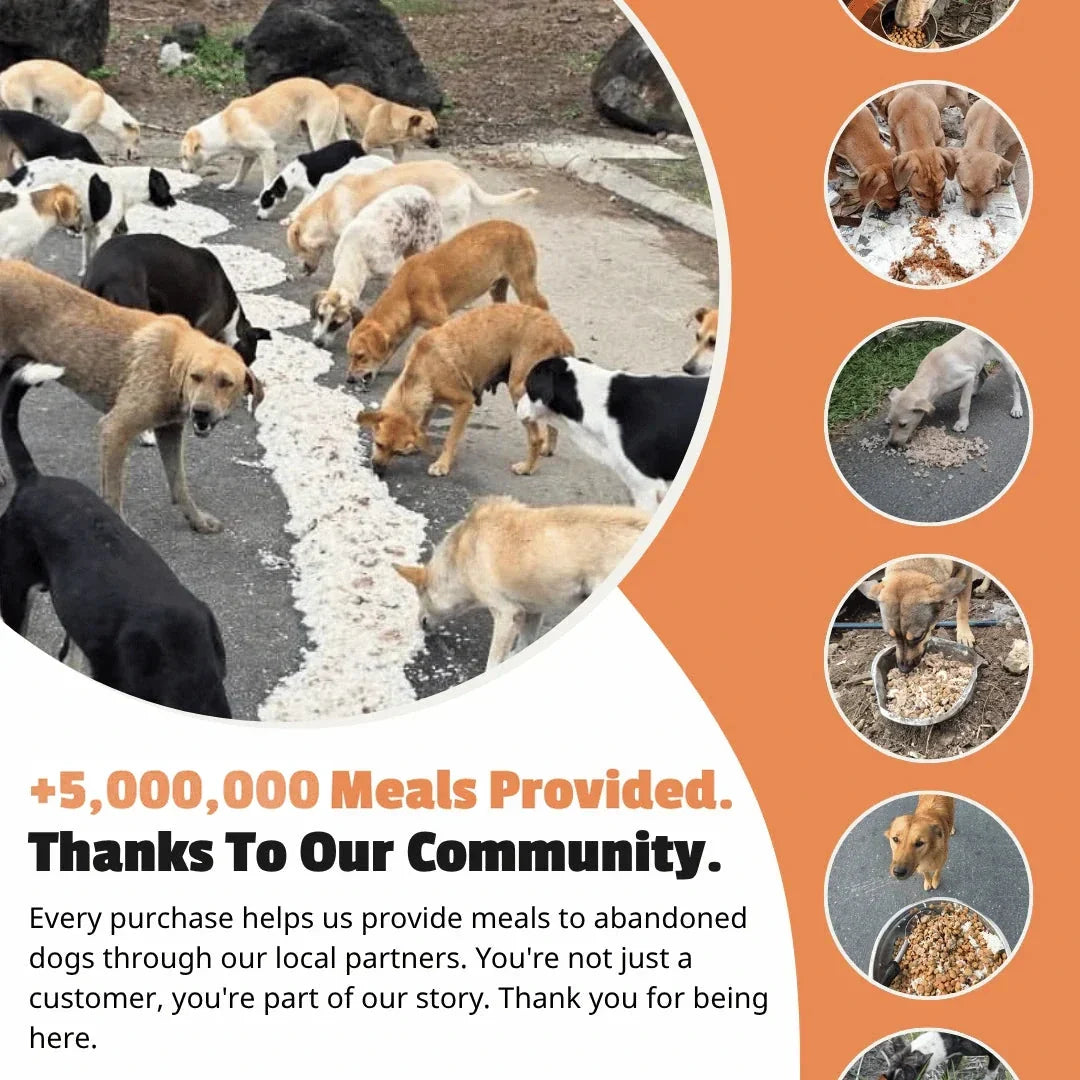 Grace Necklace