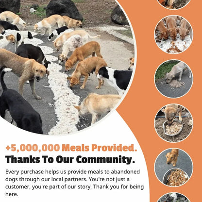 Amoria Bracelet