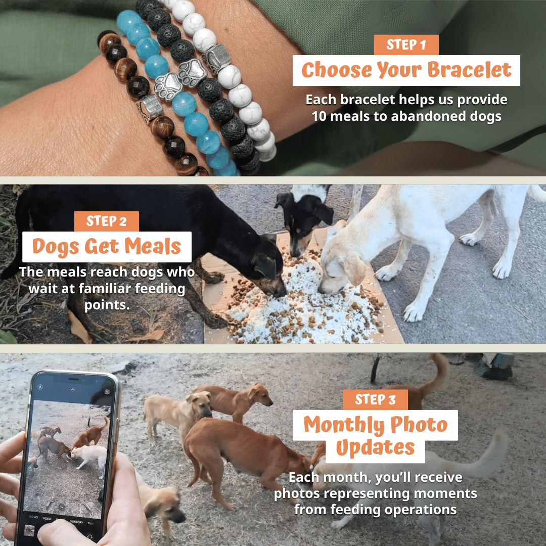 Therescuepaws Bracelet