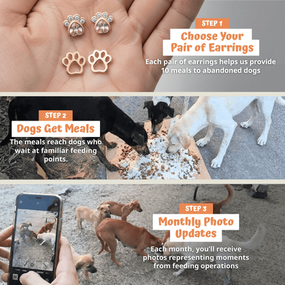 Spirit Earrings