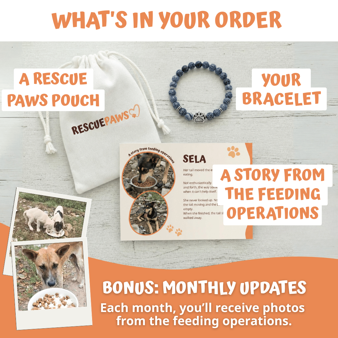 Twilight Bracelet (Limited Halloween Edition)